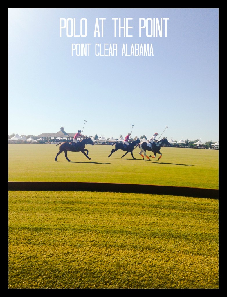 Polo at the Point