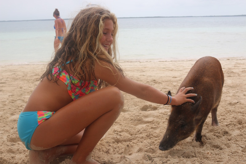 swimming-pigs-abacos