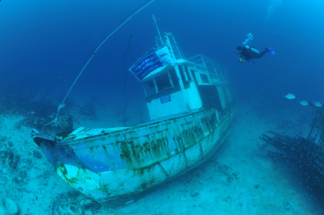 Australia Scuba Diving Adventure